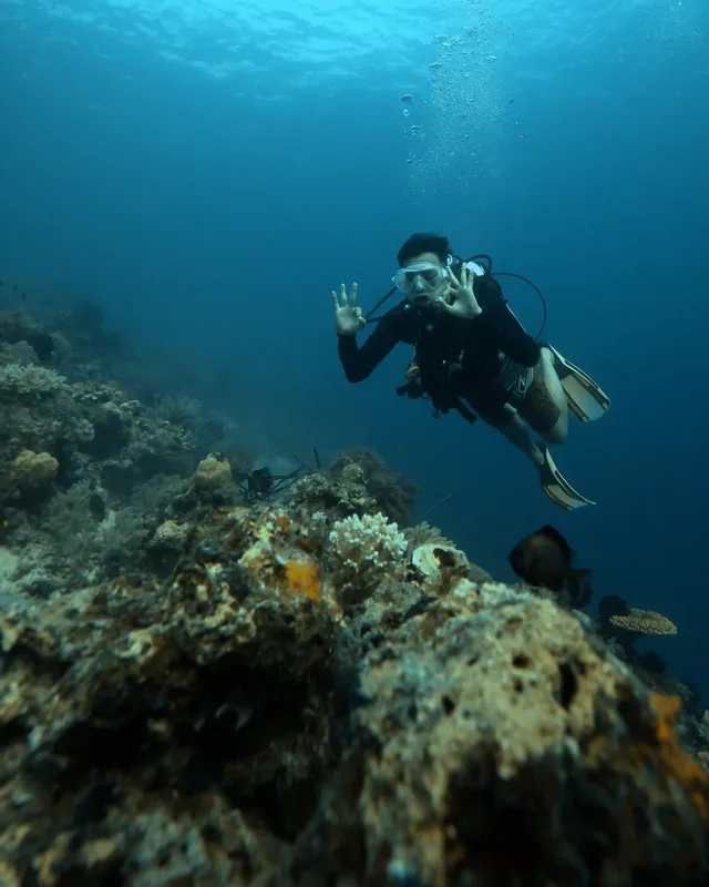 A family snorkel stop in Komodo National Park