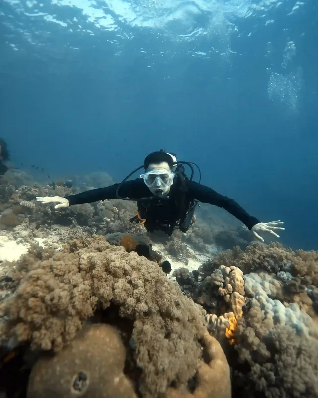 A diver over coral in Komodo National Park