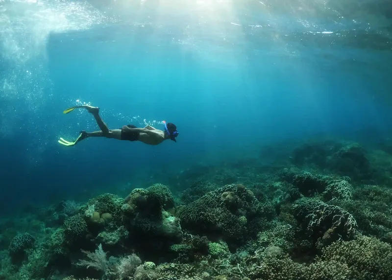 A snorkel stop in Komodo National Park