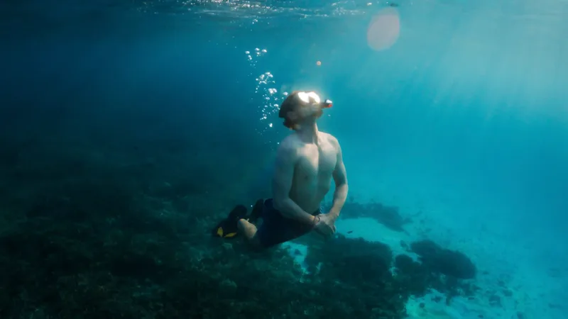 Underwater on a Komodo National Park reef