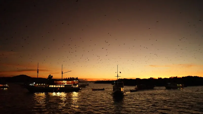 Boats at anchor off Kalong Island as the flying foxes take to the sky