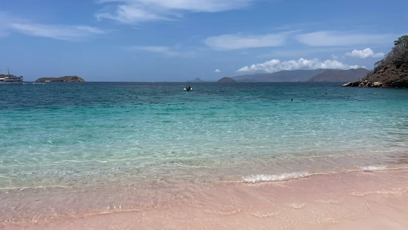 Pink sand and clear shallows at Pink Beach, Komodo National Park