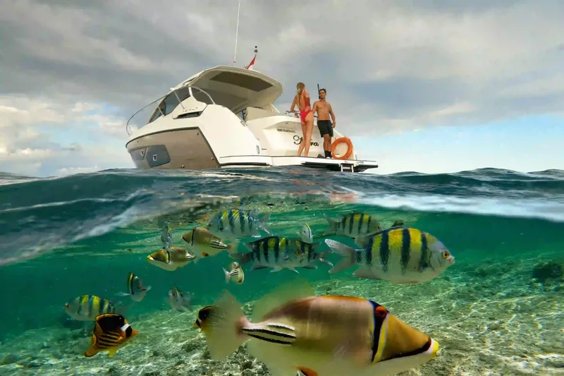 Reef fish in the shallows beside a boat, Komodo National Park
