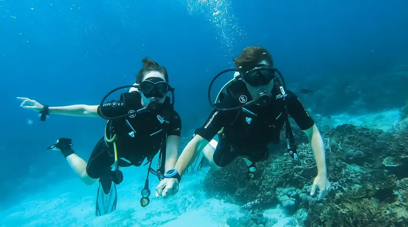 Scuba diving in Komodo National Park